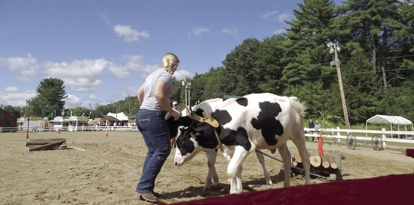Steering toward success – girl has passion for animals, ag and medicine